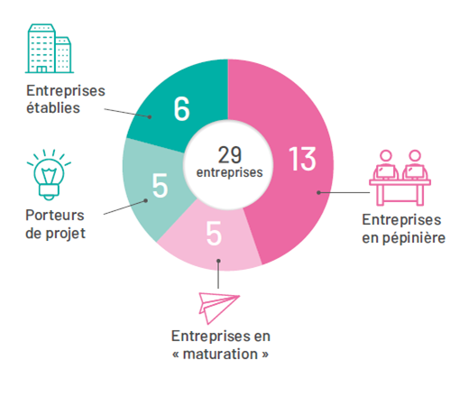 graph typologie entreprises