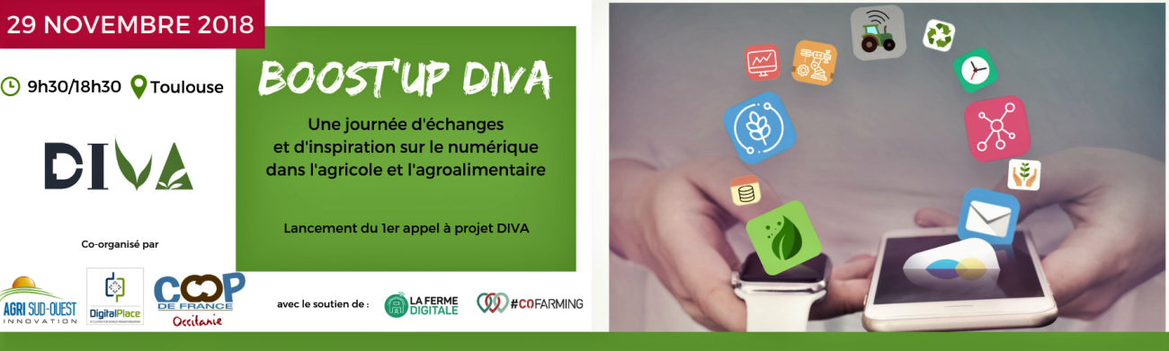 diva boost-up